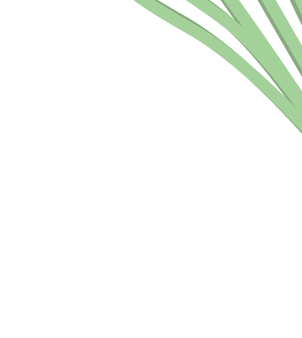 Graphics
